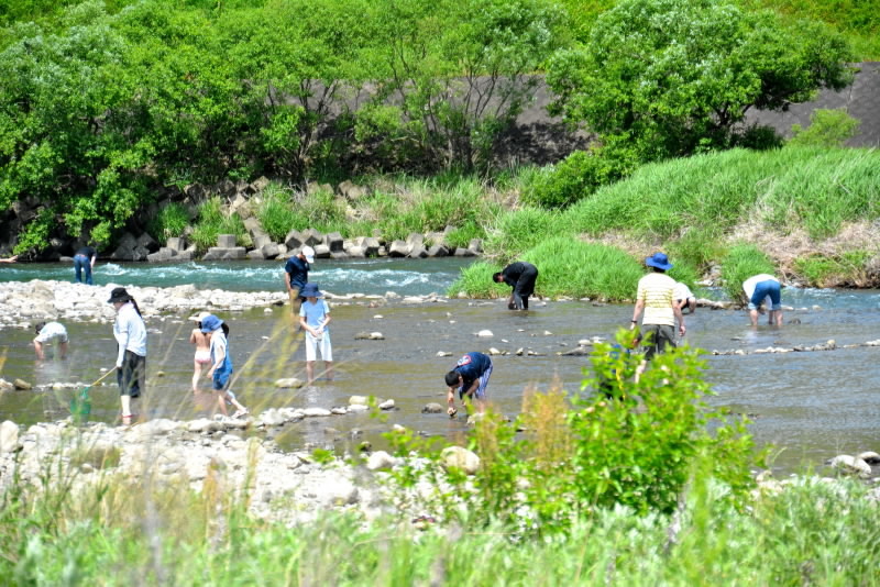 e0056537_15312249.jpg