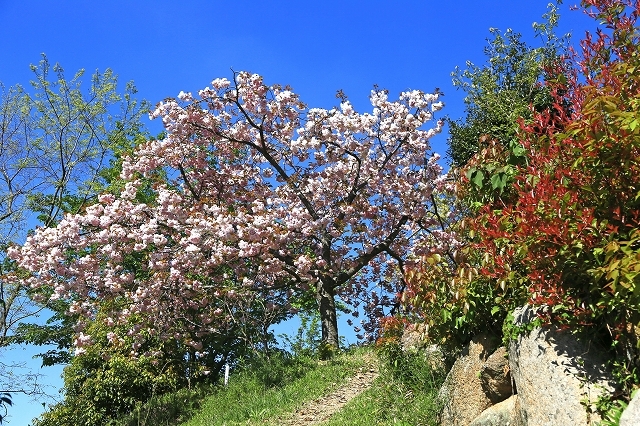 a0242438_18340851.jpg