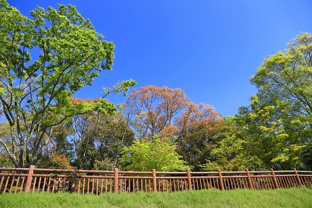 a0242438_18341460.jpg
