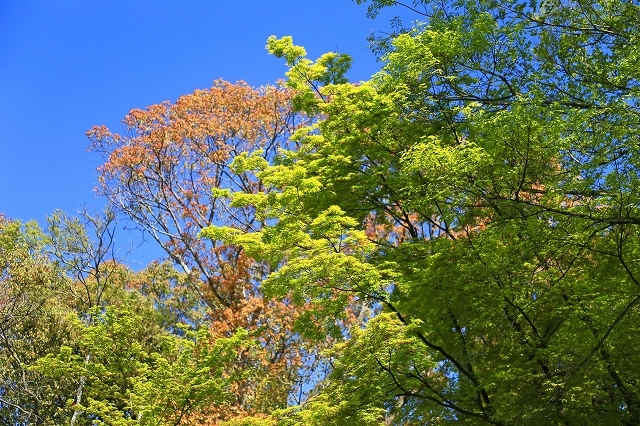a0242438_18341462.jpg