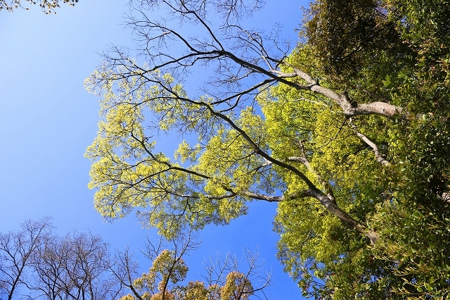 a0242438_18351203.jpg
