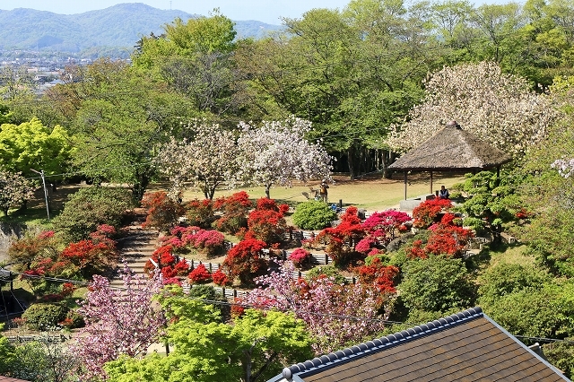 a0242438_18351280.jpg