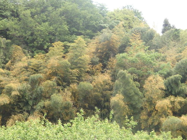 a0054240_2118111.jpg