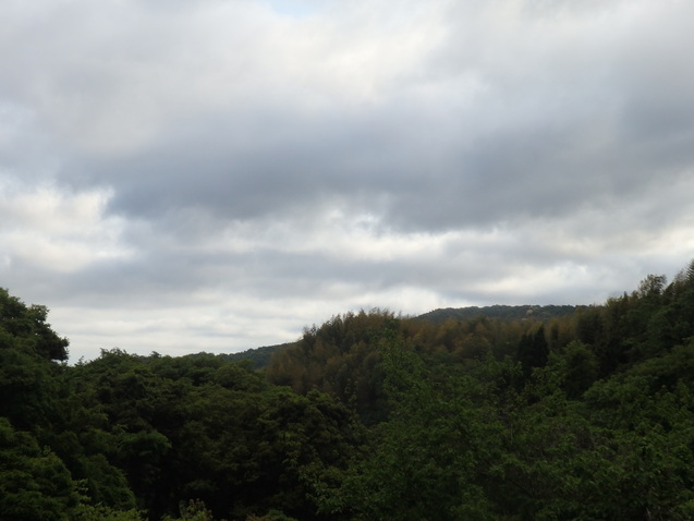 a0054240_21242072.jpg