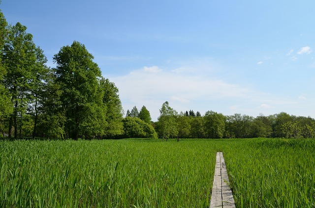 f0207943_16053982.jpg
