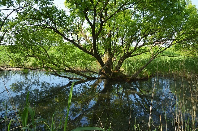 f0207943_16062380.jpg
