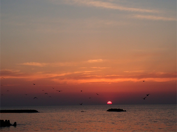 f0214649_03474017.jpg