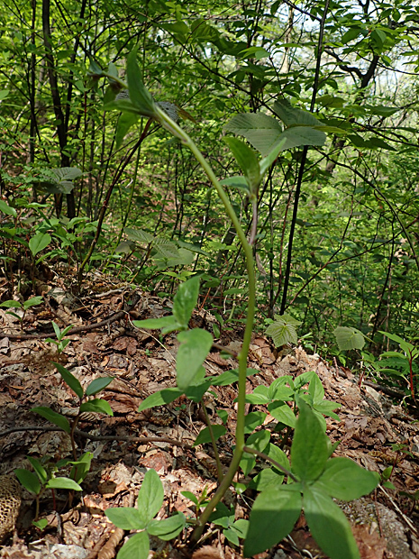 f0214649_04003262.jpg