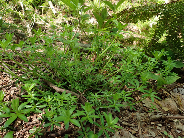 f0214649_04003311.jpg