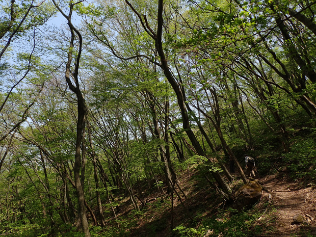 f0214649_04003348.jpg