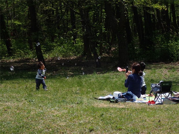 f0214649_04034379.jpg