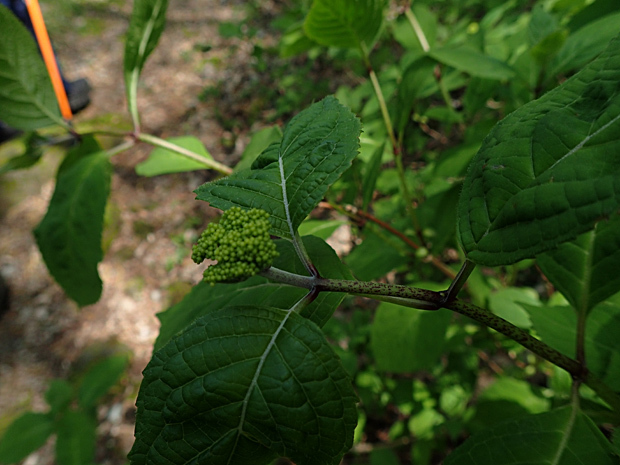 f0214649_04034433.jpg