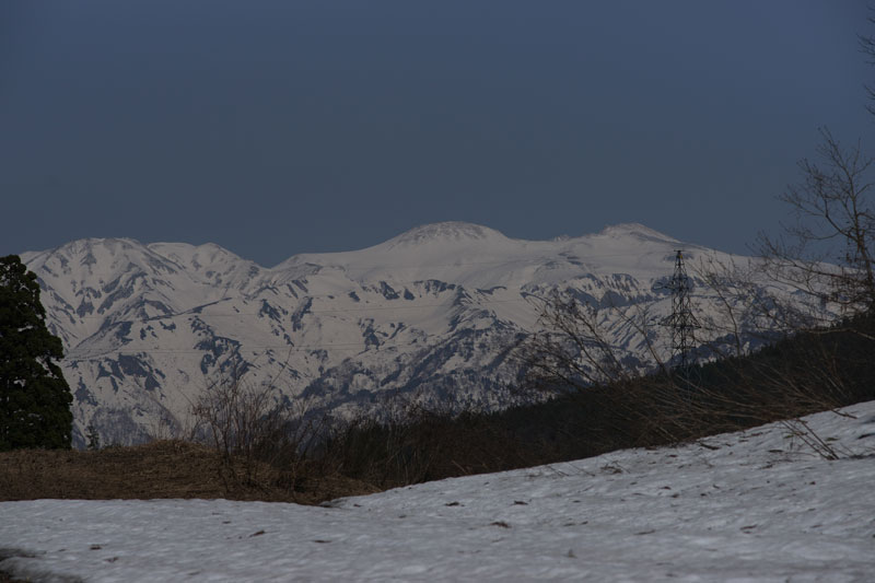d0342652_12254489.jpg