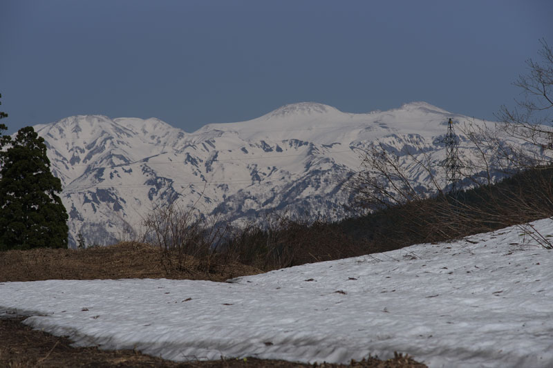 d0342652_1226419.jpg