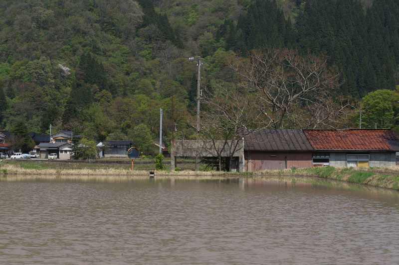 d0342652_1282479.jpg