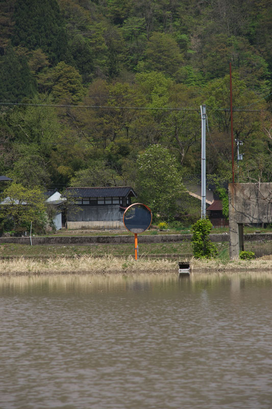 d0342652_1284871.jpg