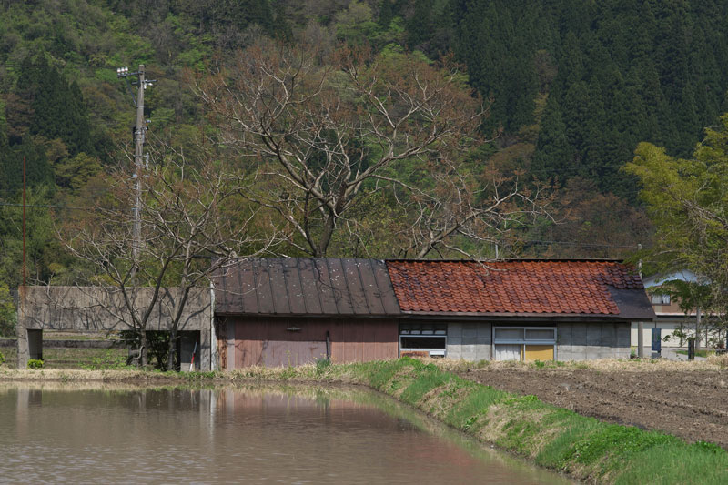d0342652_1291343.jpg