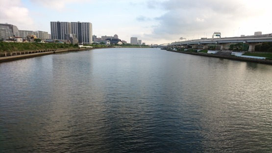 d0347253_17343082.jpg