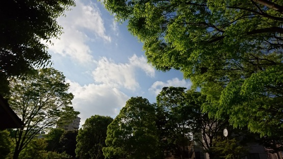 d0347253_19503758.jpg