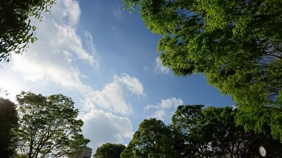 d0347253_19513924.jpg