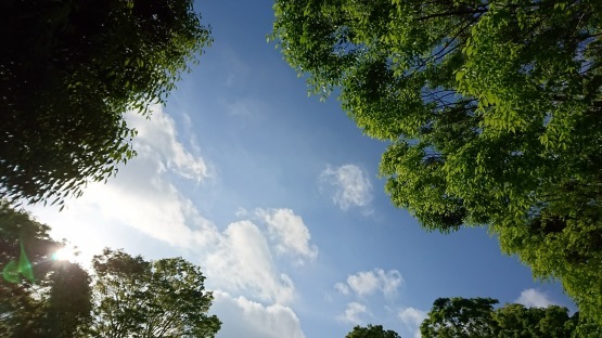 d0347253_19525404.jpg