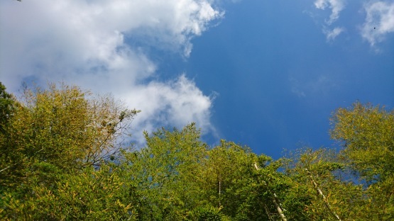 d0347253_20005475.jpg