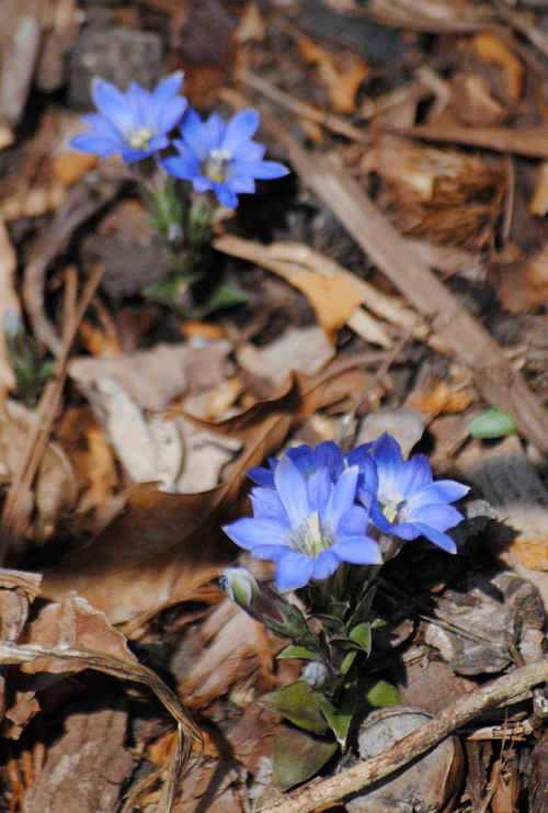 a0001354_22564718.gif