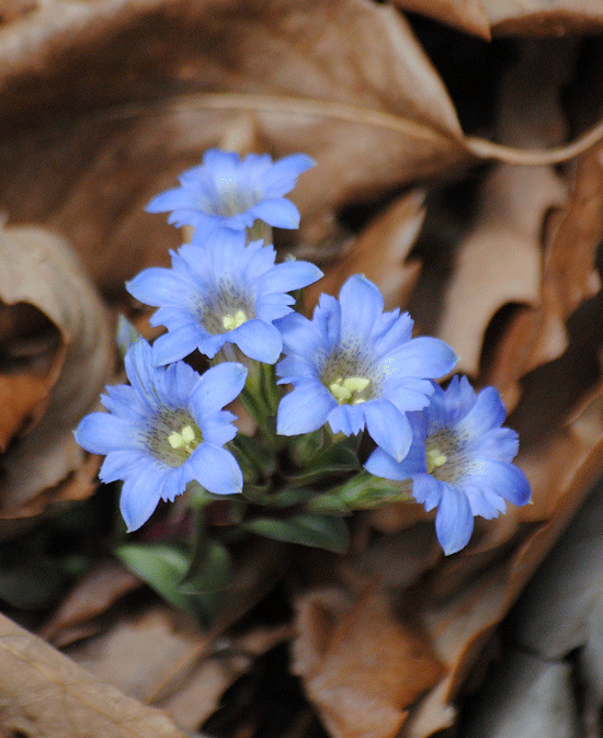 a0001354_22572000.gif