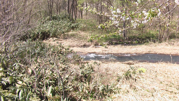 b0208961_1401526.jpg