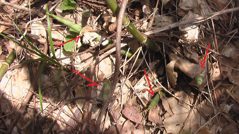 b0208961_14373377.jpg