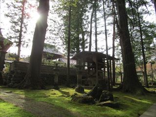 d0045362_10203920.jpg