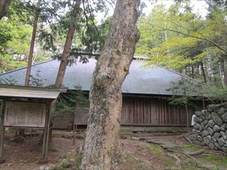 d0045362_10210329.jpg