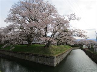 d0045362_10213494.jpg