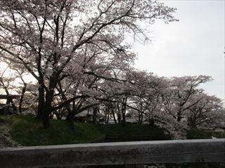 d0045362_10214933.jpg