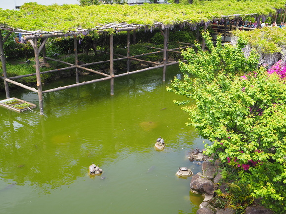 d0193569_10485967.jpg
