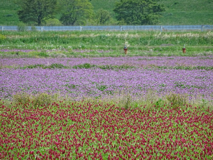 c0143772_16433676.jpg