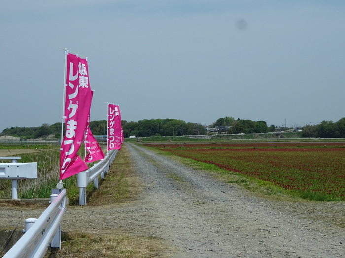 c0143772_16543012.jpg