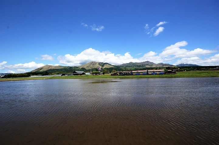 c0248473_20154724.jpg