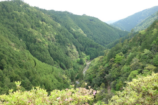 b0159780_01033135.jpg