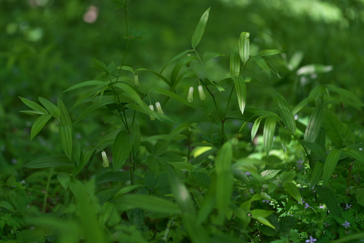 a0083081_15503750.jpg