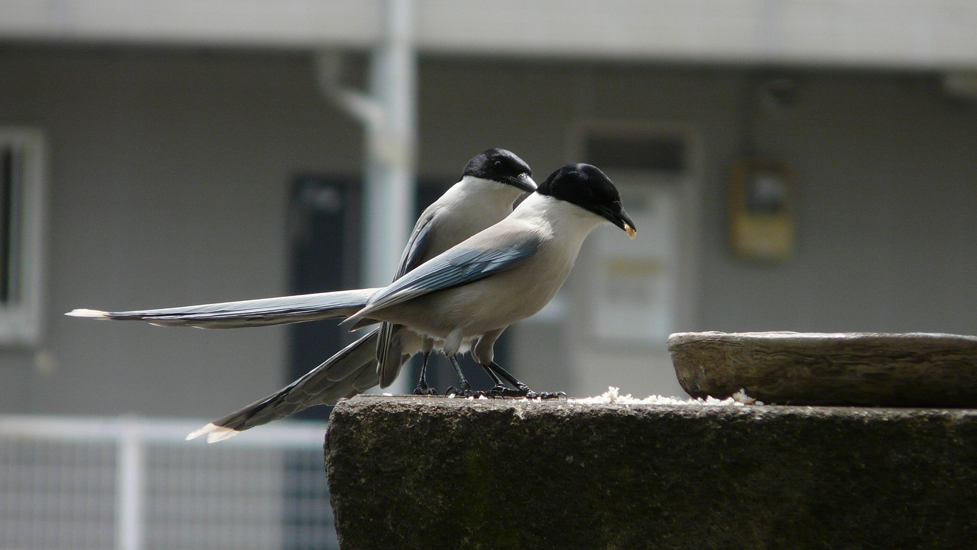 a0185081_14374671.jpg