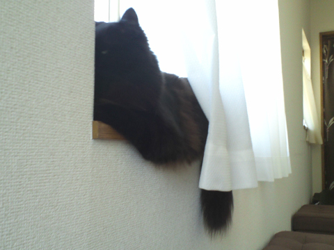 a0308381_14210410.jpg