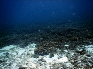 f0144385_20580135.jpg