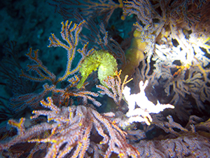 f0144385_22514757.jpg