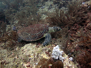 f0144385_22514766.jpg