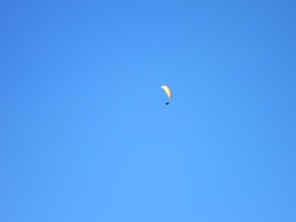 f0176688_11541018.jpg