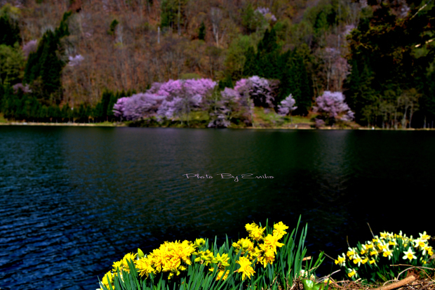 c0246290_14123785.jpg