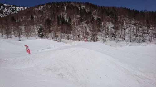 e0015490_17295277.jpg