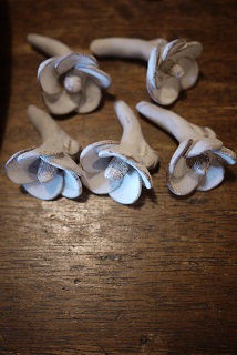 f0226293_10435785.jpg