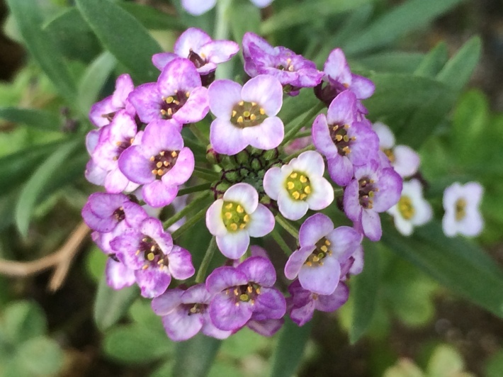 f0201297_09020130.jpg